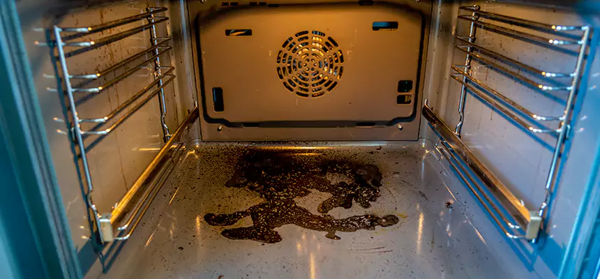 Our Dryer Vent Mold Cleaning Services in Las Vegas, NV