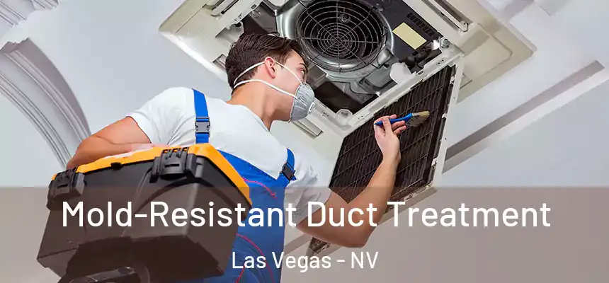  Mold-Resistant Duct Treatment Las Vegas - NV