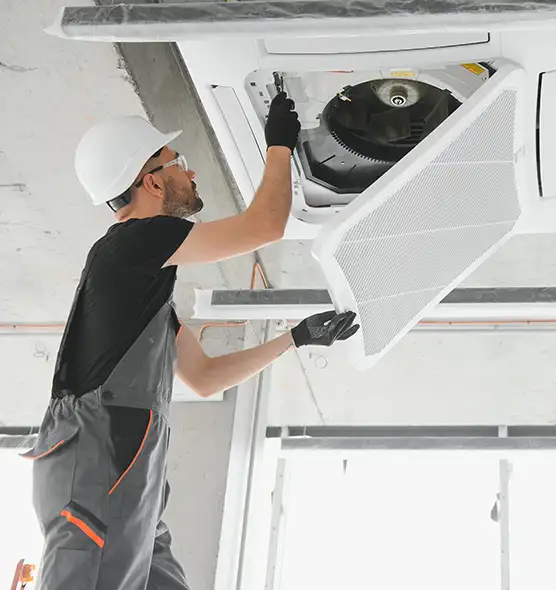 About Air Duct Rodent Removal in Las Vegas, NV