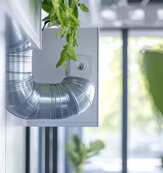 Professional Eco-Safe Dryer Vent Cleaning in Las Vegas, NV