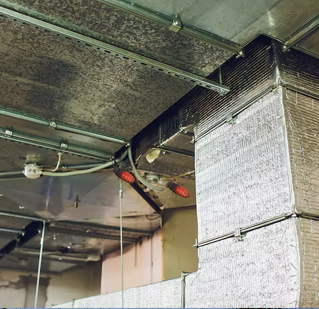 Why Homeowners & Businesses Trust Us in Las Vegas, NV?