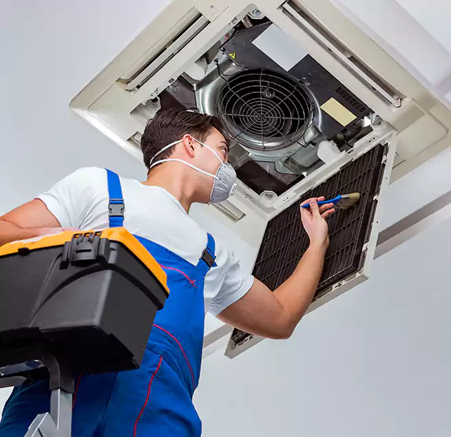 Why Homeowners & Businesses Trust Us in Las Vegas, NV