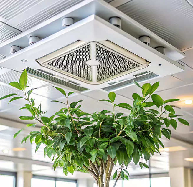 Why Homeowners & Businesses Trust Us in Las Vegas, NV?