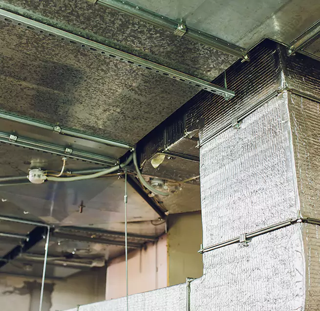 Why Homeowners & Businesses Trust Us in Las Vegas, NV?