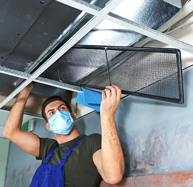 Why Homeowners & Businesses Trust Us in Las Vegas, NV?